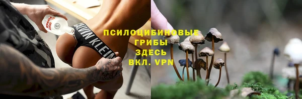 прущая мука Ельня