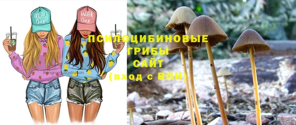 меф Заводоуковск
