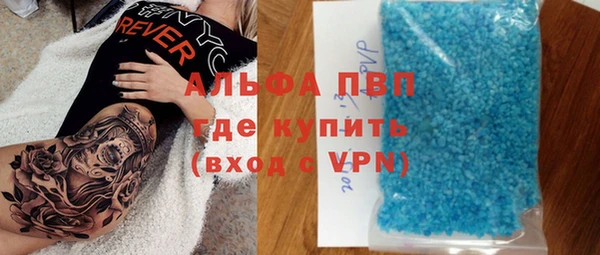 прущие грибы Балабаново