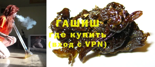 прущие грибы Балабаново