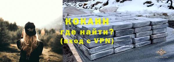 прущие грибы Балабаново