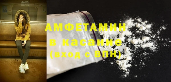 прущие грибы Балабаново