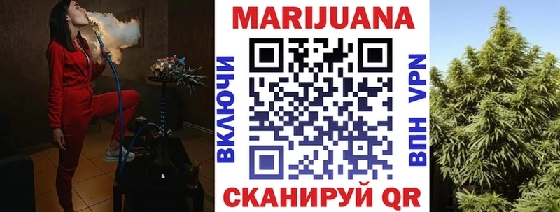 как найти   Заречный  Каннабис планчик 